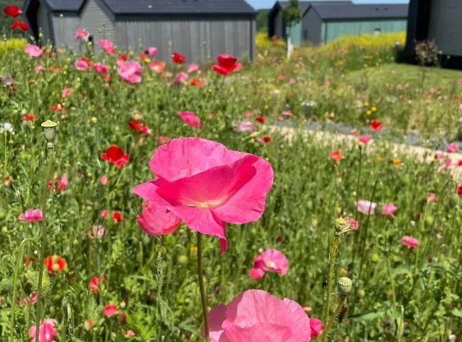 Bio-seehotel בית נופש 4*