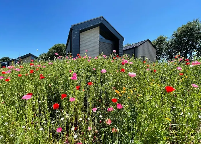 Bio-seehotel Zeulenroda-Triebes